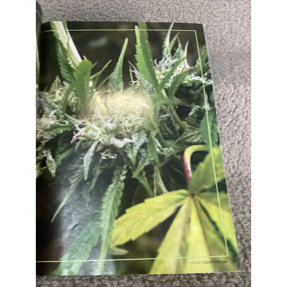 Skunk‎ Magazine Volume 1 Issue 8